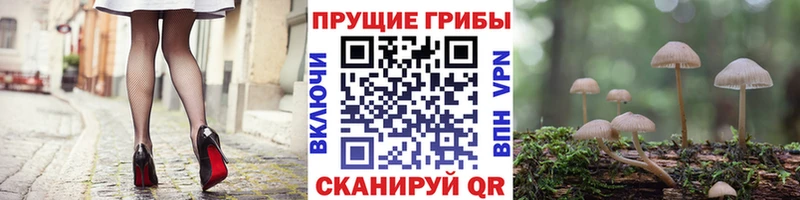 Псилоцибиновые грибы GOLDEN TEACHER  Купить закладки  Ликино-Дулёво 